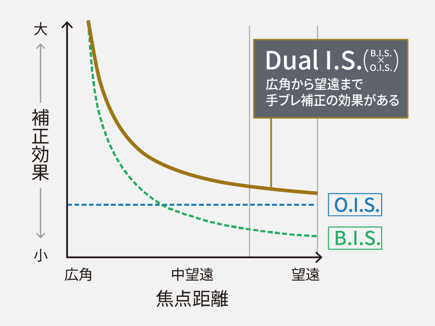 グラフ：Dual I.S.