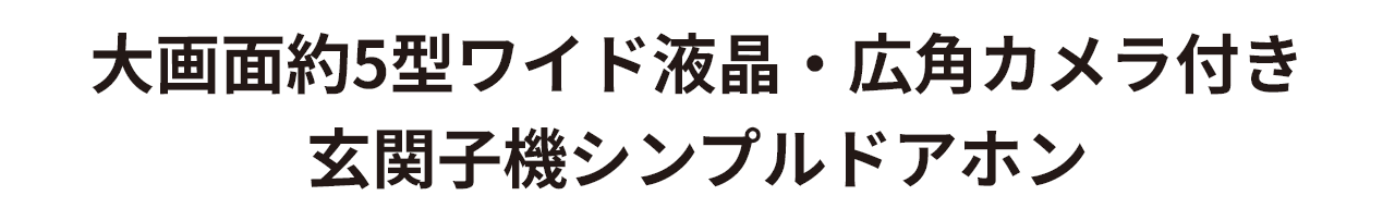 大画面約5型ワイド液晶・広角カメラ付き 玄関子機シンプルドアホン