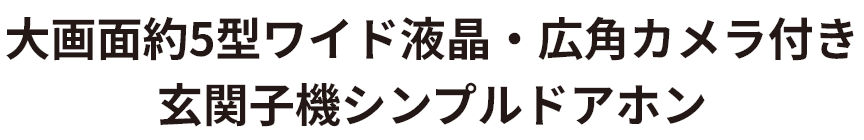 大画面約5型ワイド液晶・広角カメラ付き 玄関子機シンプルドアホン