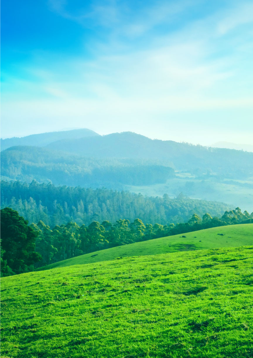 爽やかな風が吹く高原のイメージ