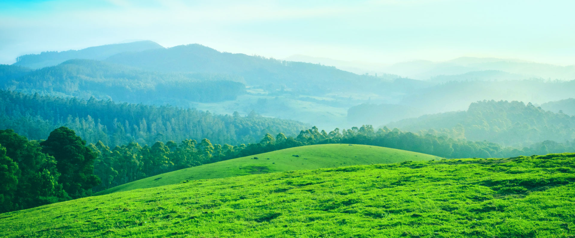 爽やかな風が吹く高原のイメージ