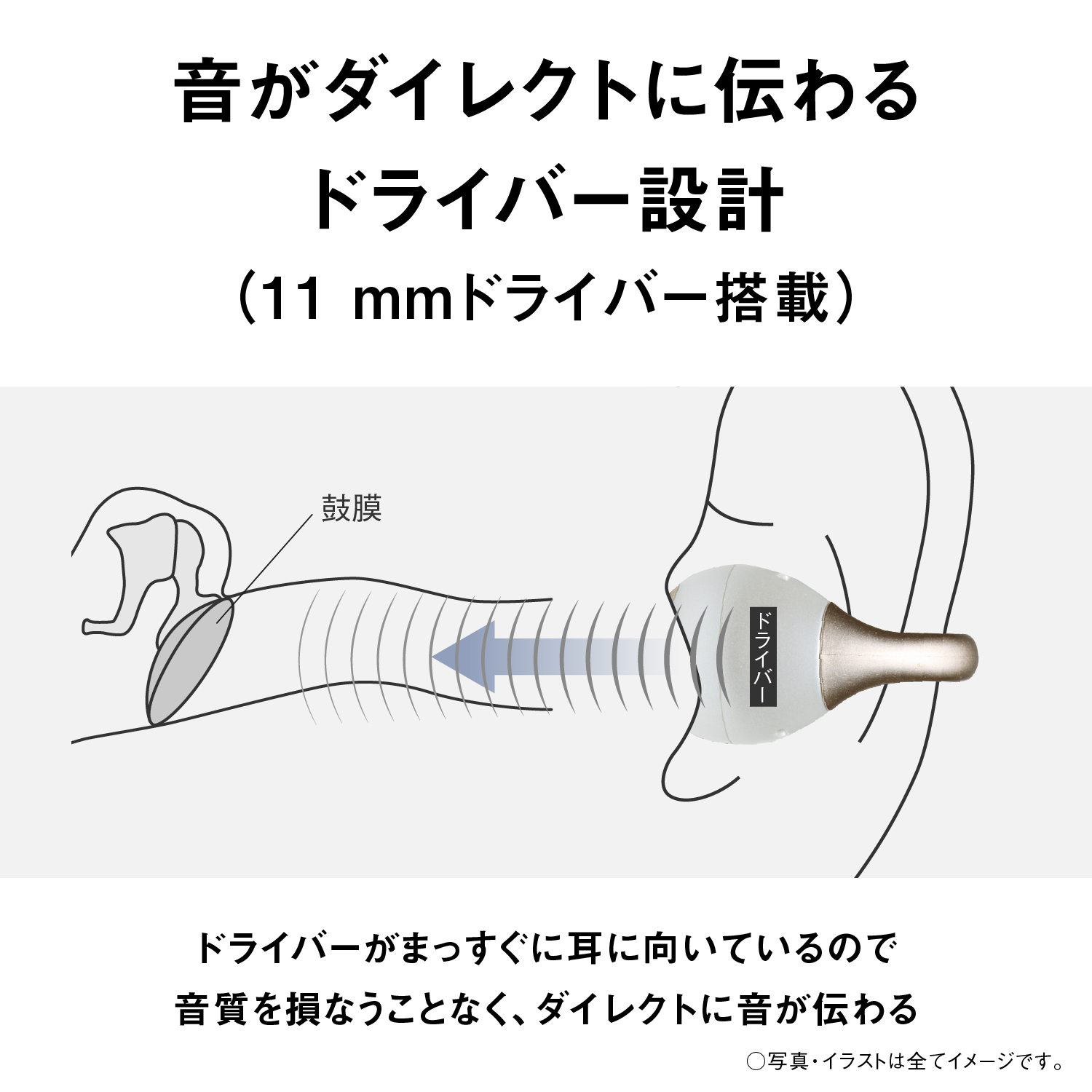 音がダイレクトに伝わるドライバー設計。（11 mmドライバー搭載）ドライバーがまっすぐに耳に向いているので音質を損なうことなく、ダイレクトに音が伝わります。