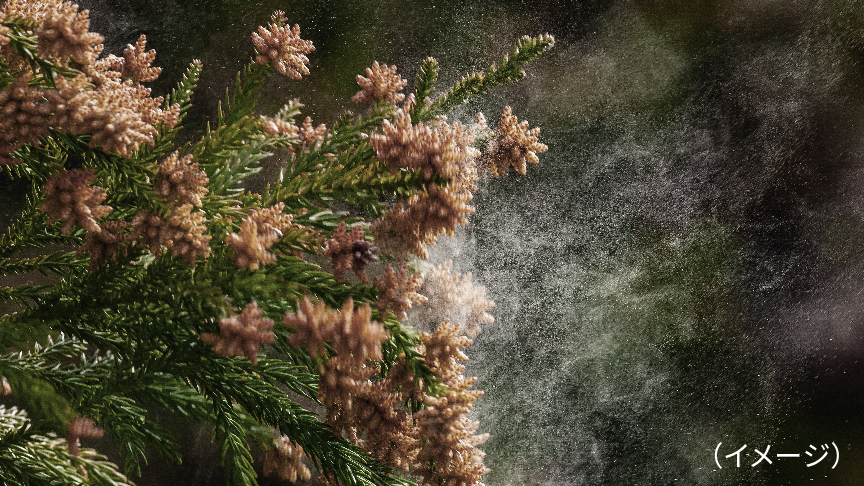 アレル物質抑制