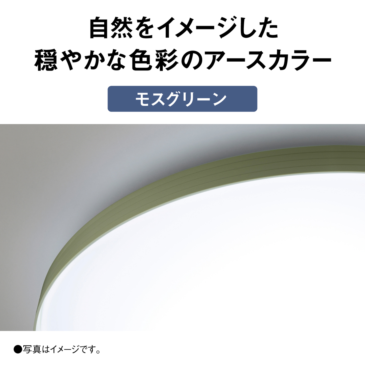 自然をイメージした穏やかな色彩のアースカラー【モスグリーン】　●写真はイメージです。