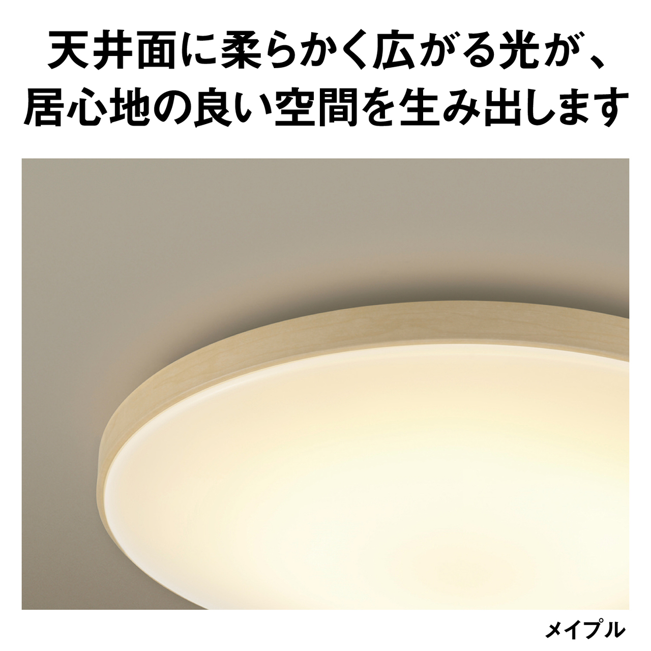 天井面に柔らかく広がる光が、居心地の良い空間を生み出します　メイプル