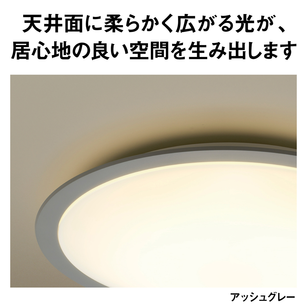 天井面に柔らかく広がる光が、居心地の良い空間を生み出します　アッシュグレー