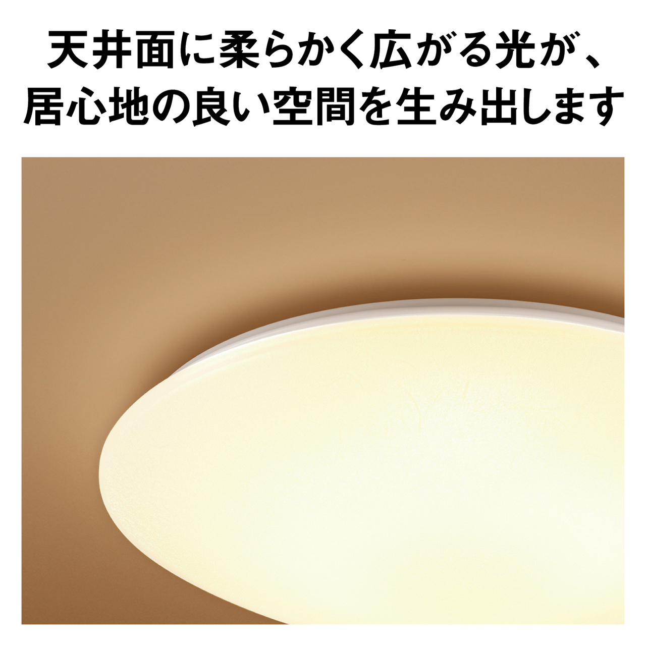 天井面に柔らかく広がる光が、居心地の良い空間を生み出します