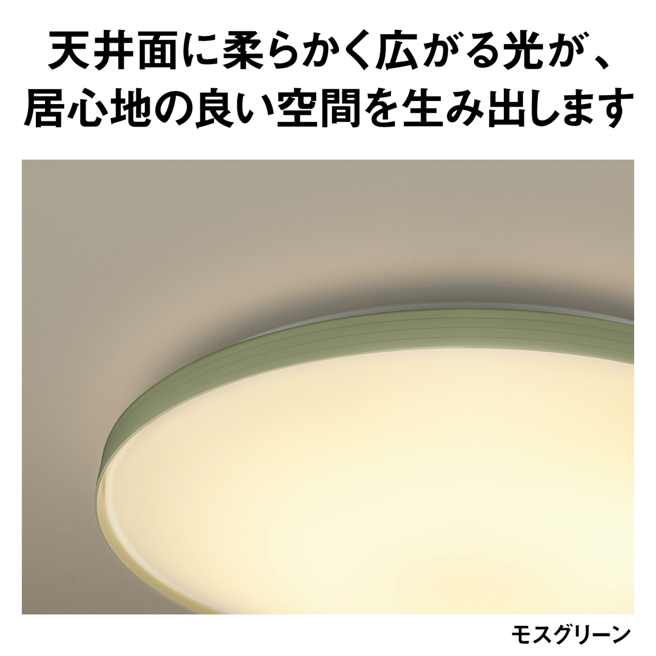 天井面に柔らかく広がる光が、居心地の良い空間を生み出します　モスグリーン