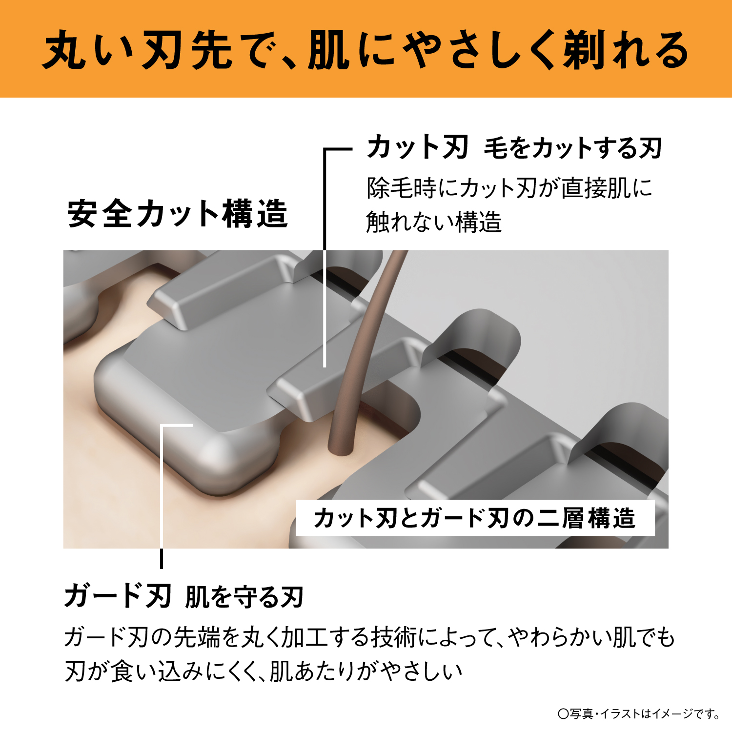 丸い刃先で、肌にやさしく剃れる 安全カット構造 カット刃 毛をカットする刃 除毛時にカット刃が直接肌に触れない構造 カット刃とガード刃の二層構造 ガード刃 肌を守る刃 ガード刃の先端を丸く加工する技術によって、やわらかい肌でも刃が食い込みにくく、肌あたりがやさしい ○写真・イラストはイメージです。