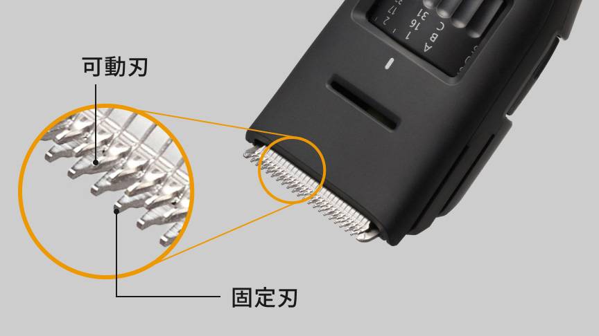 可動刃 固定刃