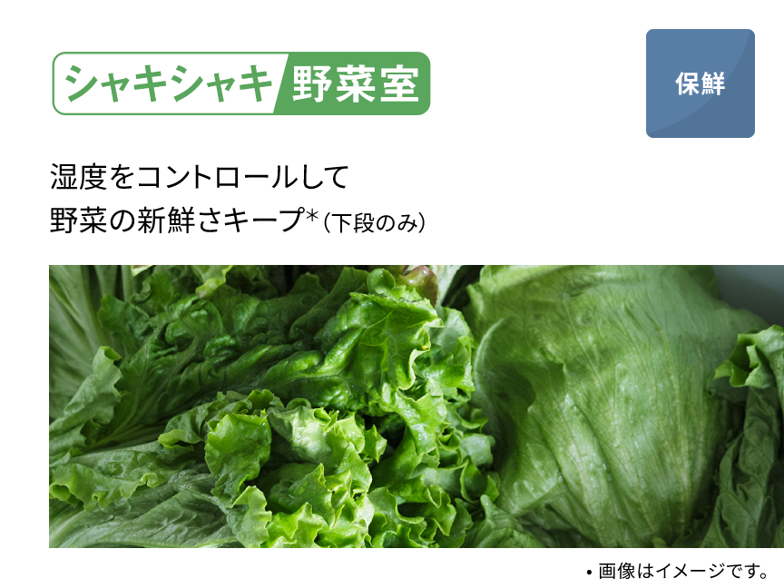 シャキシャキ野菜室 湿度をコントロールして野菜の新鮮さキープ（下段のみ）