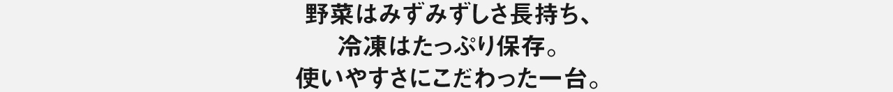 野菜はみずみずしさ長持ち、冷凍はたっぷり保存。使いやすさにこだわった一台。