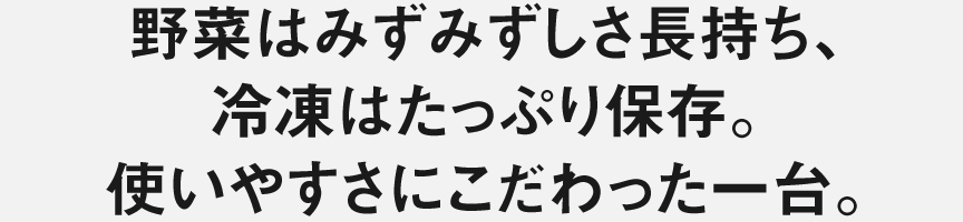 野菜はみずみずしさ長持ち、冷凍はたっぷり保存。使いやすさにこだわった一台。