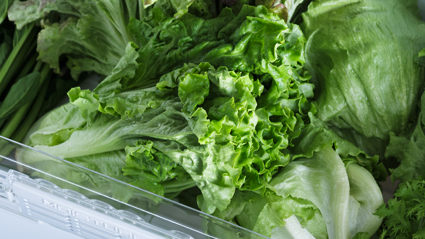 シャキシャキ野菜室