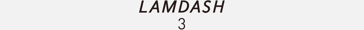 LAMDASH3