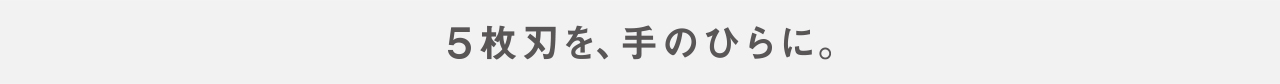 5枚刃を、手のひらに。