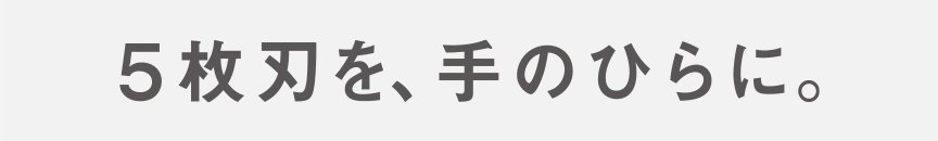 5枚刃を、手のひらに。