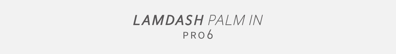LAMDASH PALM IN PRO6