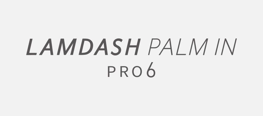 LAMDASH PALM IN PRO6