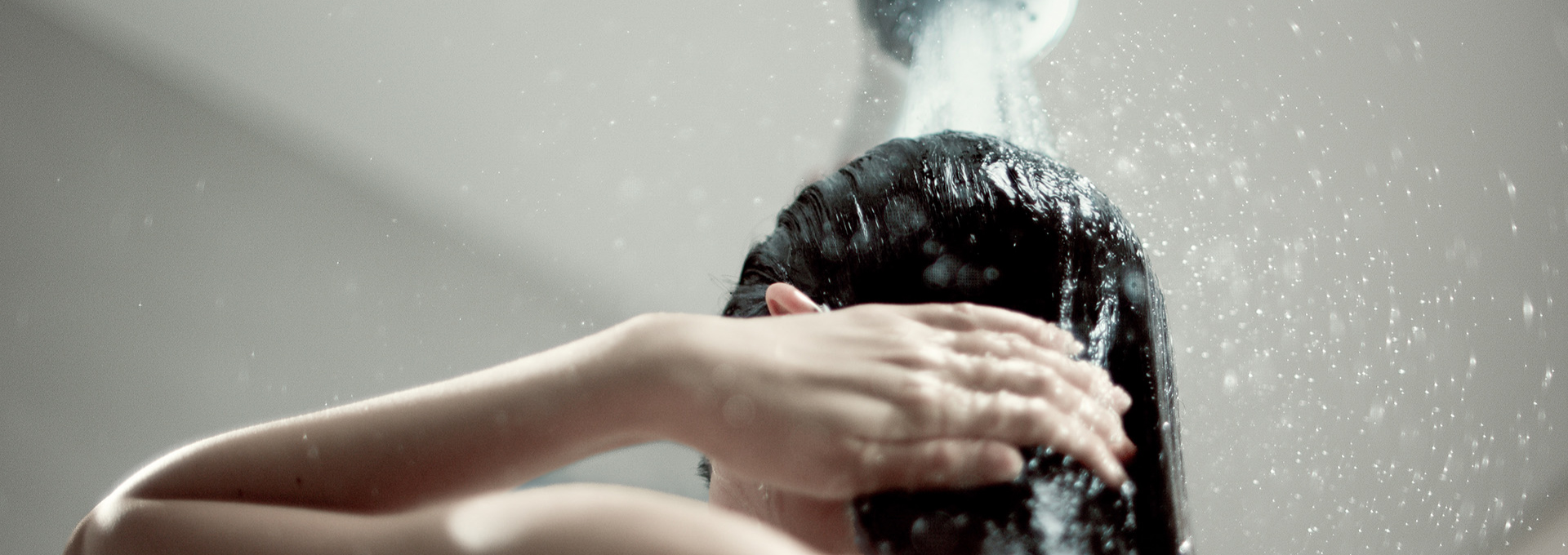 EH-SH50を使用している写真