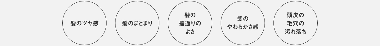 髪のツヤ感、髪のまとまり、髪の指通りのよさ、髪のやわらかさ感、頭皮の毛穴の汚れ落ち