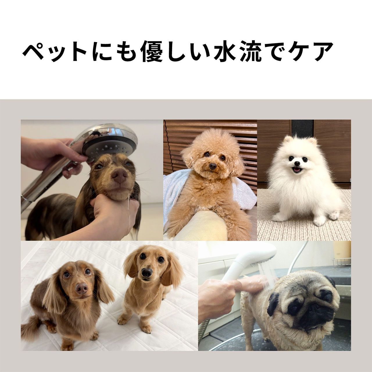 EH-SH50 購入 - ファインバブルシャワーヘッド ファインベール