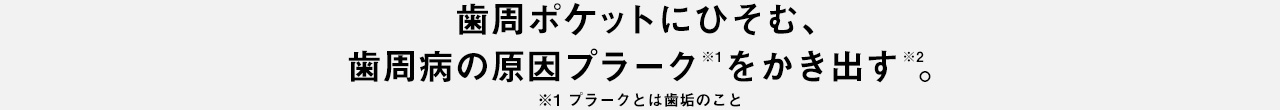 歯周ポケットにひそむ、歯周病の原因プラーク※1をかき出す。 ※1 プラークとは歯垢のこと
