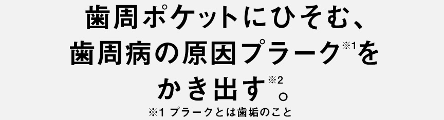 歯周ポケットにひそむ、歯周病の原因プラーク※1をかき出す。 ※1 プラークとは歯垢のこと