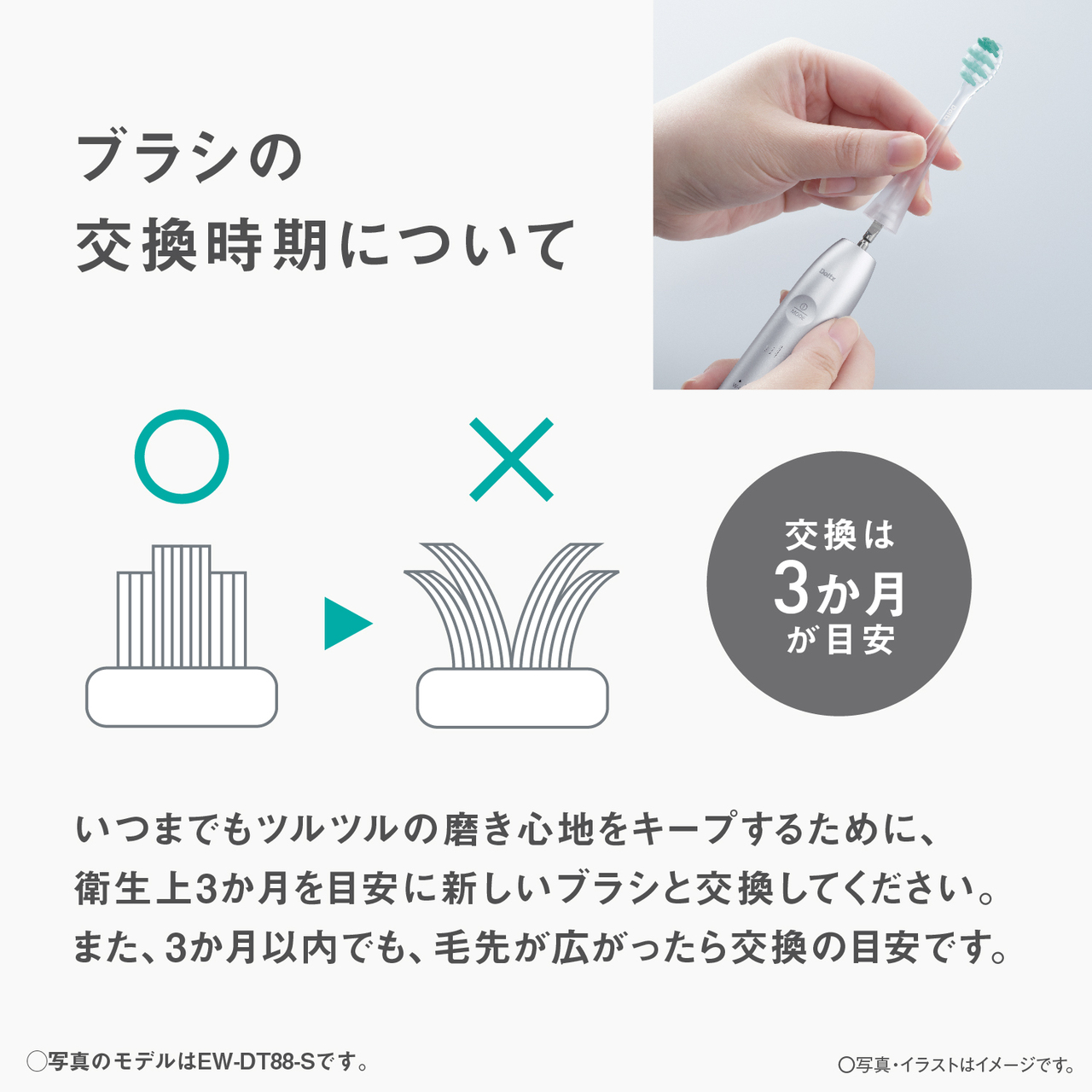 ブラシの交換時期について 交換は3か月が目安 いつまでもツルツルの磨き心地をキープするために、衛生上3か月を目安に新しいブラシと交換してください。また、3か月以内でも、毛先が広がったら交換の目安です。〇写真のモデルはEW-DT88-Sです。〇写真はイメージです。
