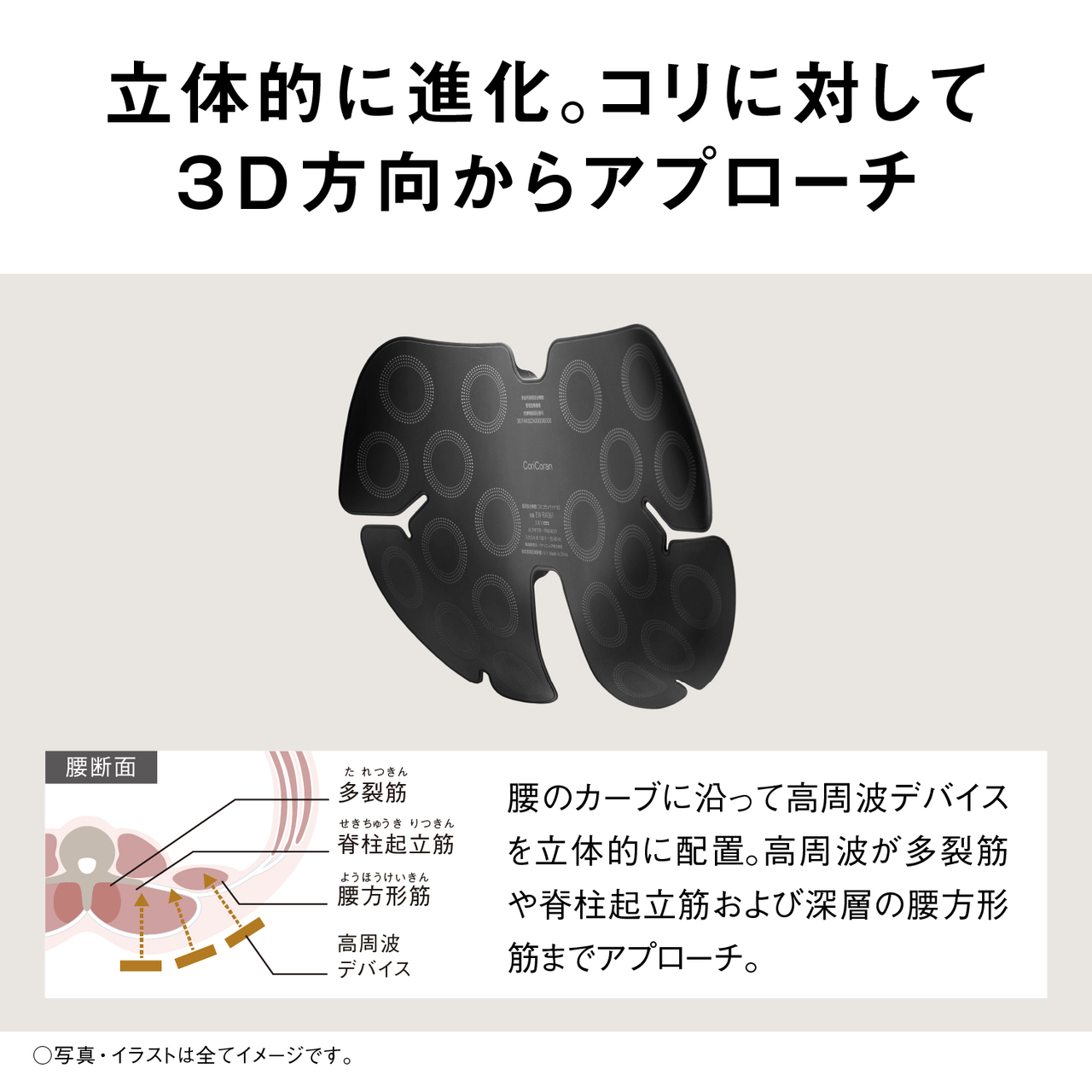 立体的に進化。コリに対して3D方向からアプローチ 腰断面 多裂筋（たれつきん） 脊柱起立筋（せきちゅうきりつきん） 腰方形筋（ようほうけいきん） 高周波デバイス 腰のカーブに沿って高周波デバイスを立体的に配置。高周波が多裂筋や脊柱起立筋および深層の腰方形筋までアプローチ。 ○写真・イラストは全てイメージです。