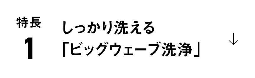 特長1：しっかり洗える 「ビッグウェーブ洗浄」
