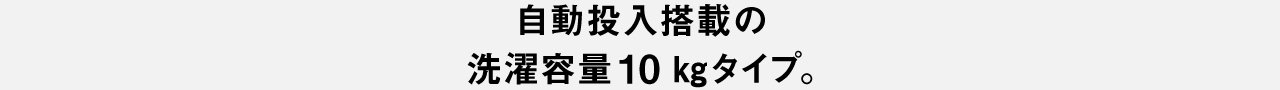 自動投入搭載の洗濯容量10kgタイプ。