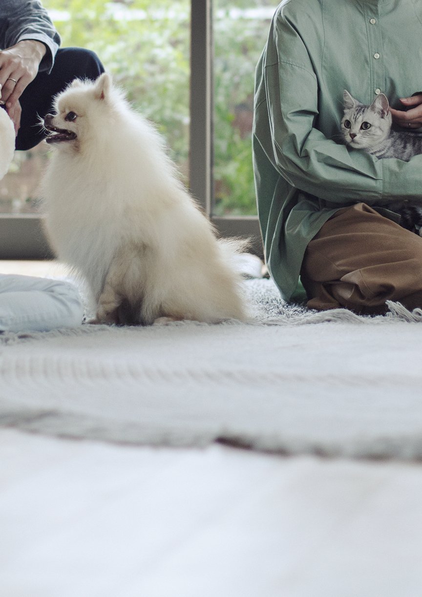 ペットのおしっこ・うんちのニオイを脱臭 ジアイーノ 特長：除菌・脱臭ページにリンク