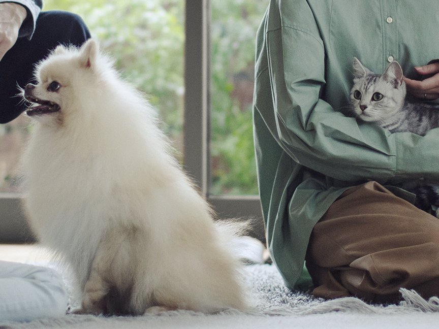 ジアイーノ特長「除菌・脱臭・ウイルス抑制・カビ抑制」のイメージ画像です。