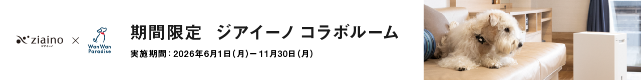 期間限定「わんわんパラダイス ジアイーノ コラボルーム」キャンペーンのバナーです。