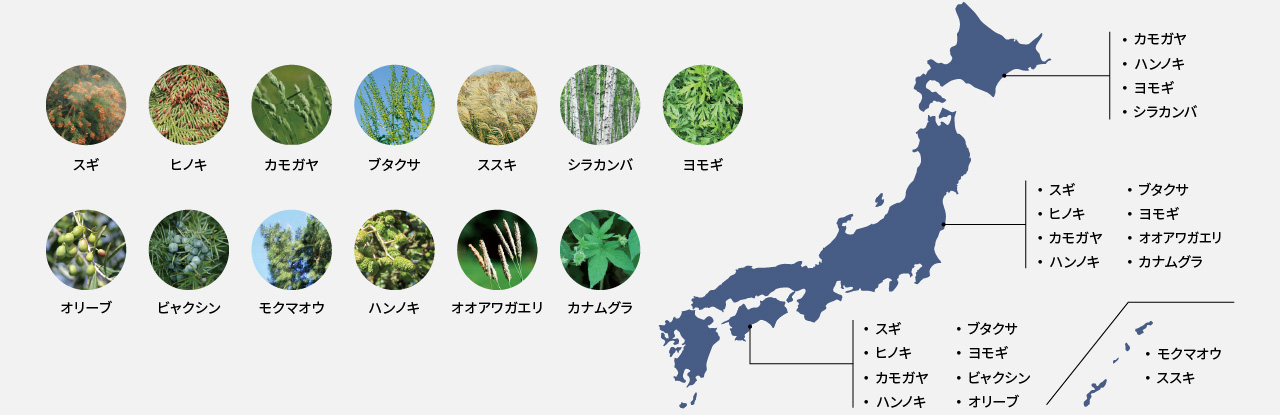日本全国の花粉の分布図です。