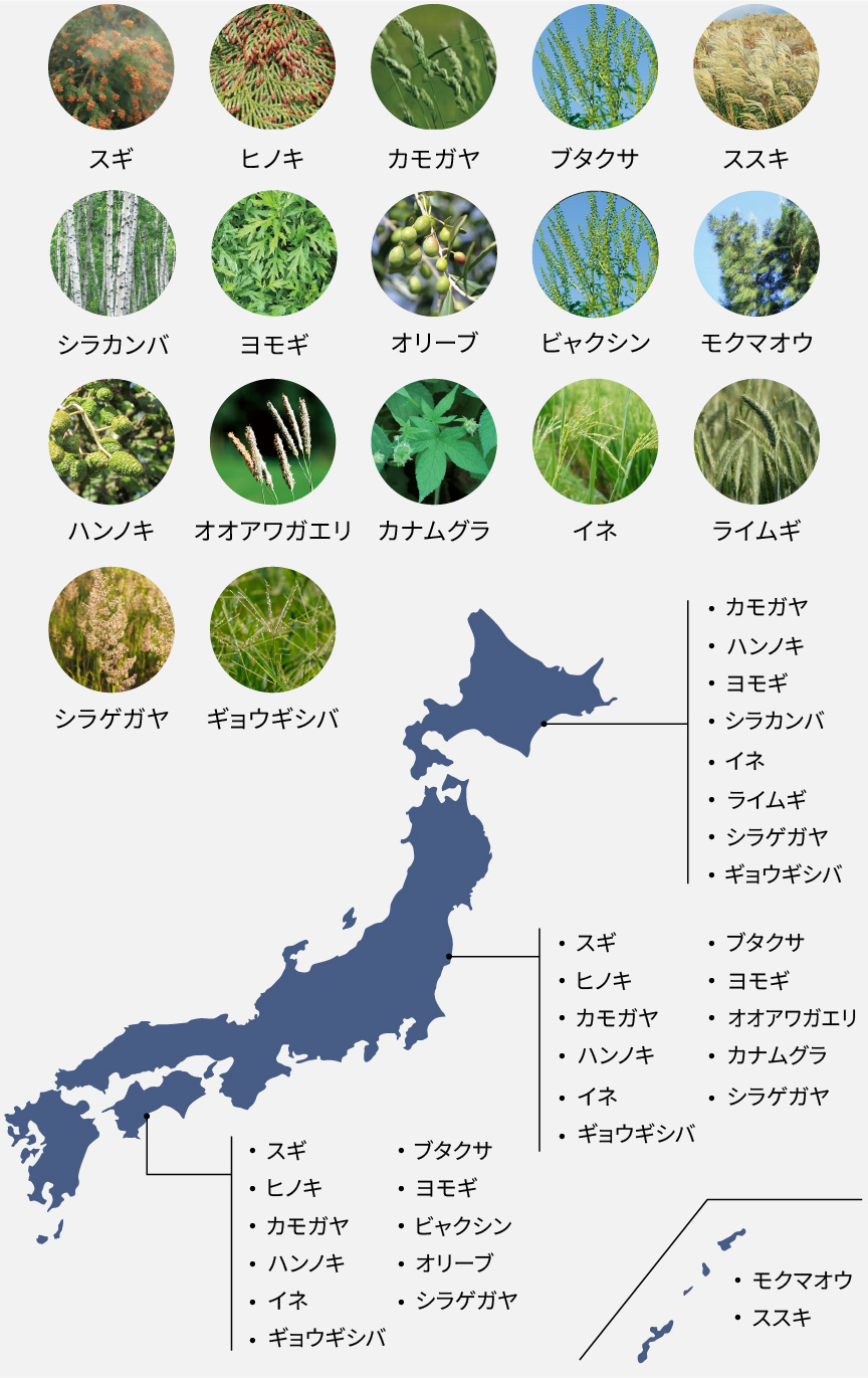 日本全国の花粉の分布図です。