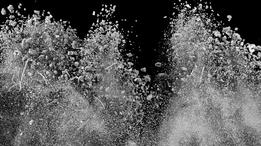 アレル物質の画像です。