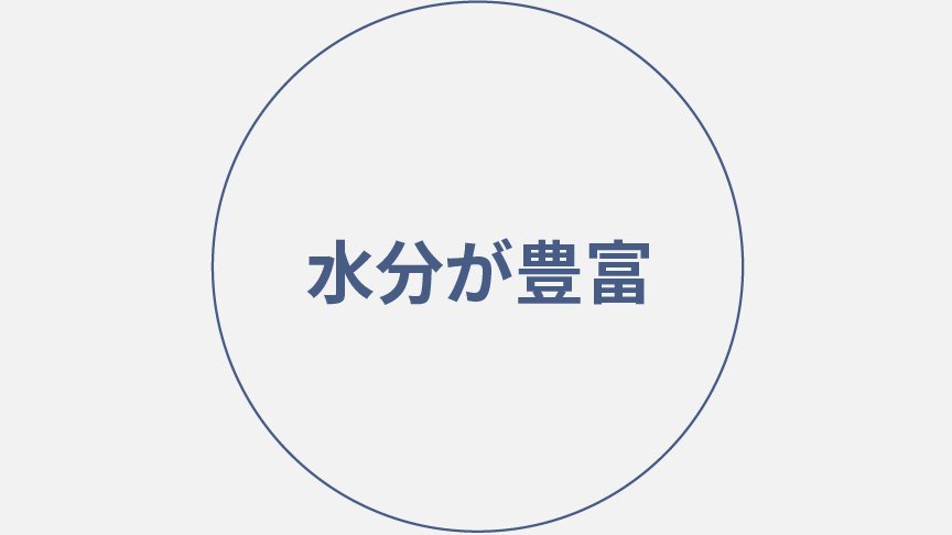 水分が豊富