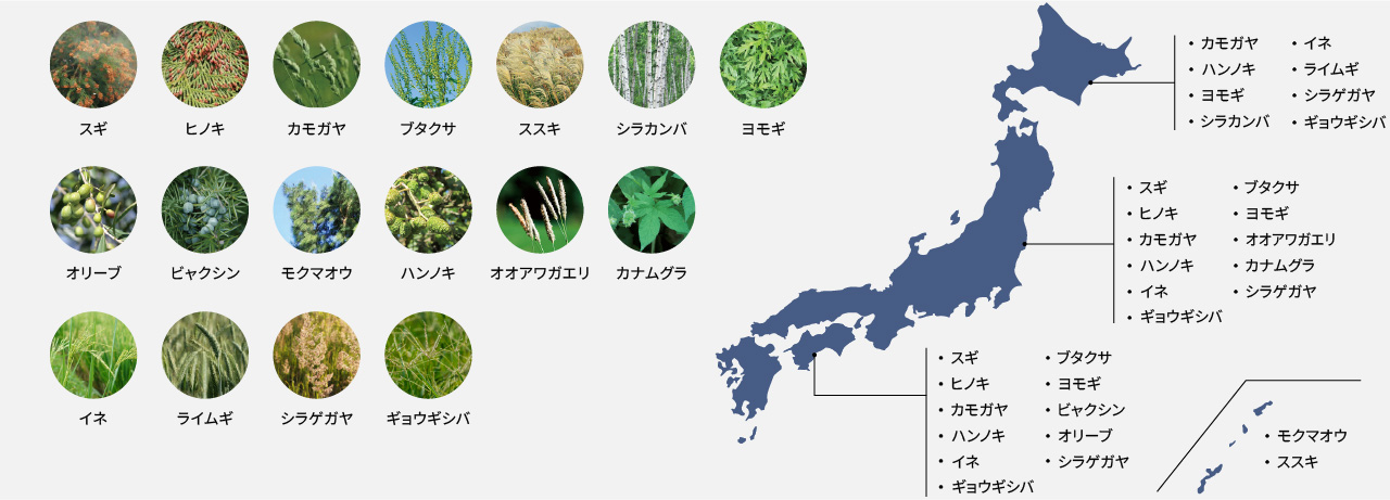 日本各地の花粉の種類と分布を示す画像です。