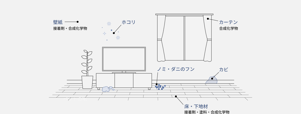 ハウスダストが部屋のいろんな場所にたまる画像です。