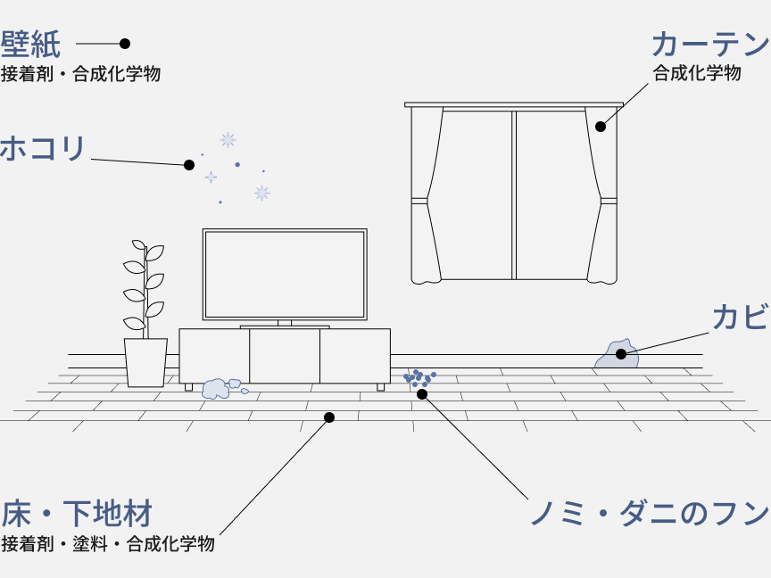 ハウスダストが部屋のいろんな場所にたまる画像です。