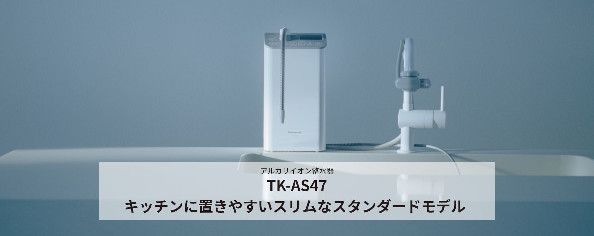 還元水素水生成器／アルカリイオン整水器／浄水器 | カテゴリー概要
