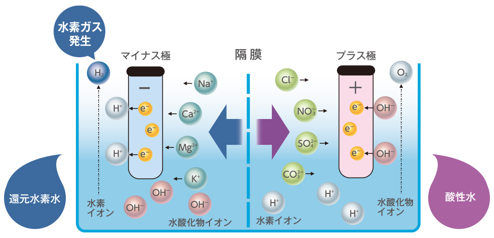 イメージ図：還元水素水