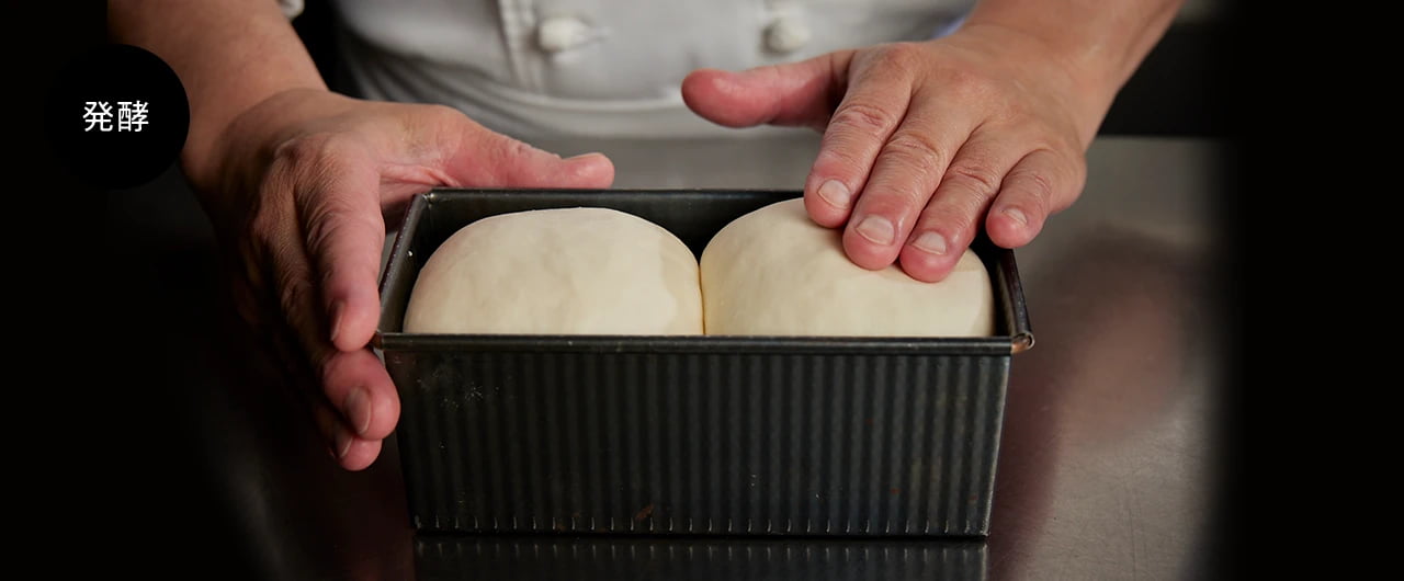 発酵