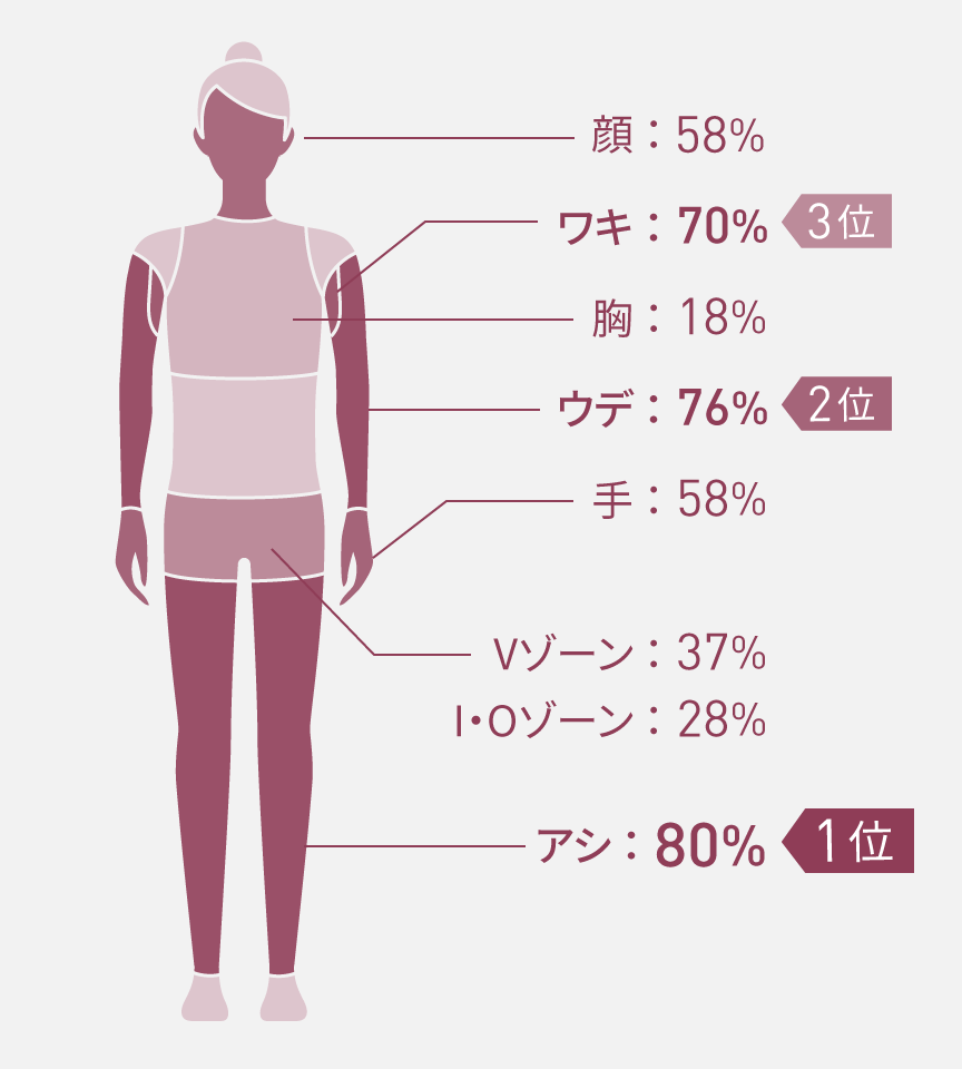 女性（ES-WP9B使用）のムダ毛ケアの部位別割合：足79%、腕77%、ワキ71%、顔69%、手61%、Vゾーン39%、I・O28%、胸21%。足が最多。