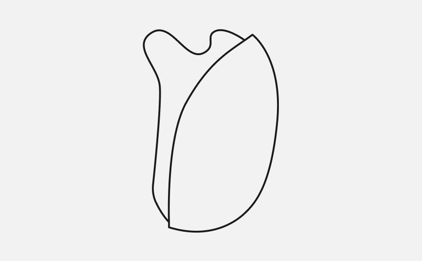 フェイスケア商品の使い方