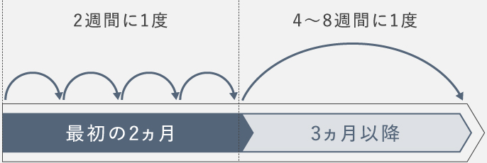 お手入れ頻度の図説：最初の2ヵ月は2週間に1度、3ヵ月以降は4～8週間に1度