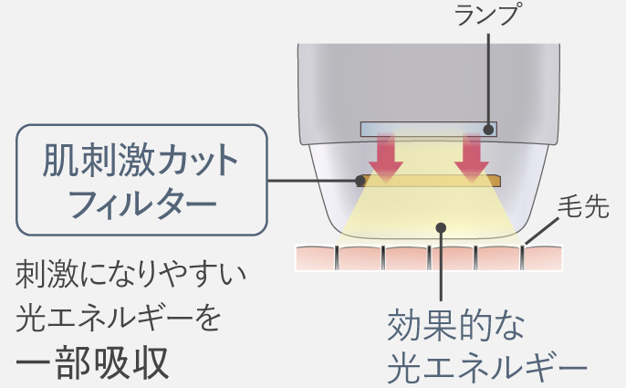 イラスト：肌刺激カットフィルターが刺激になりやすい光エネルギーを一部吸収。効果的な光エネルギーを肌に照射。