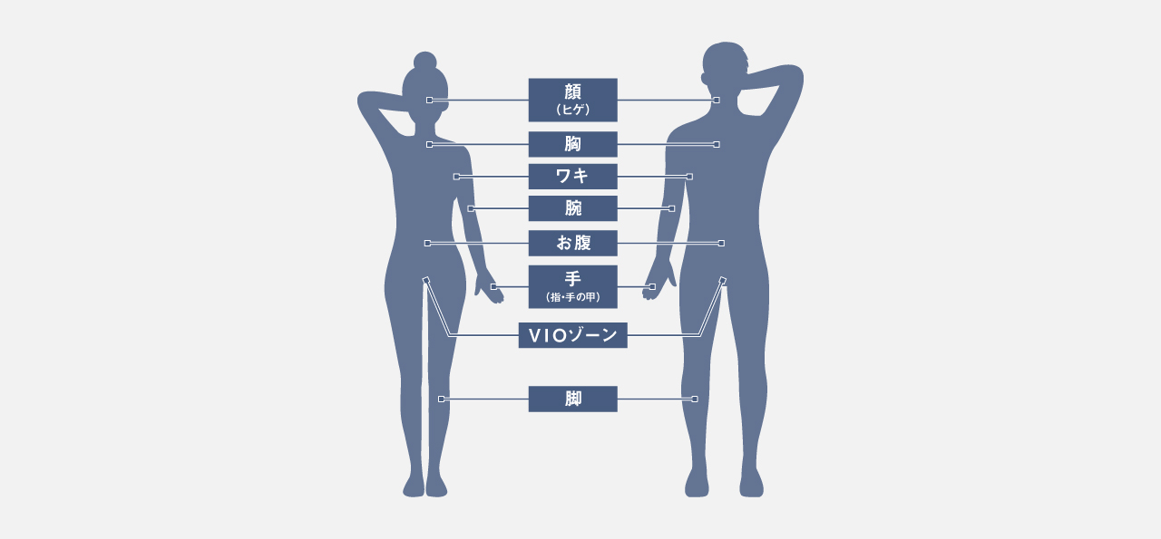 使用できる部位一覧：顔（ヒゲ）,胸,ワキ,腕,お腹,手（指・手の甲）,VIOゾーン,脚